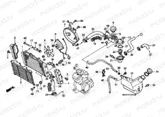 F-30 RADIATOR