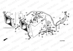 F-30 RADIATOR