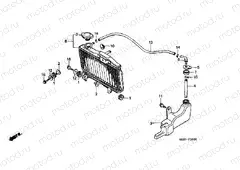F-30 RADIATOR