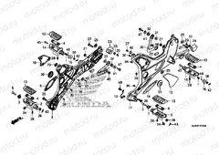 F-30 STEP