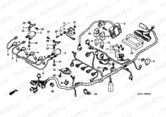 F-30 WIRING HARNESS