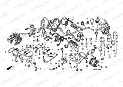 F-30 WIRING HARNESS / IGNITION COIL (CB1300 / A)