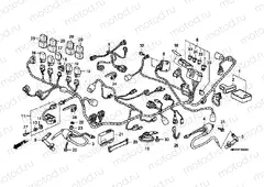F-30 WIRING HARNESS (XL1000V)