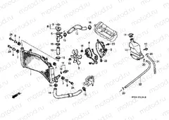 F-31-1 RADIATOR (CBR600FS / 3S / T / 3T / SET)