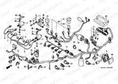 F-31-2 WIRING HARNESS (1/2/3/4)