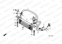 F-31 OIL COOLER