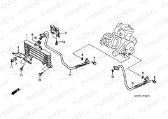 F-31 OIL COOLER (VTR1000SPY / 1)