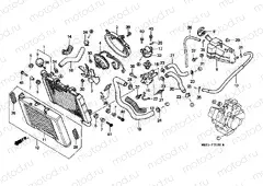 F-31 RADIATOR