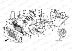 F-31 RADIATOR