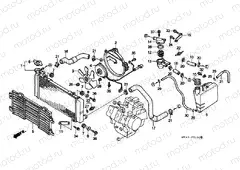F-31 RADIATOR
