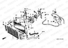 F-31 RADIATOR