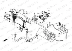 F-31 RADIATOR