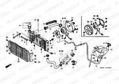 F-31 RADIATOR