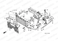 F-31 RADIATOR