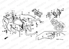 F-31 RADIATOR