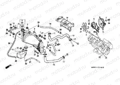 F-31 RADIATOR