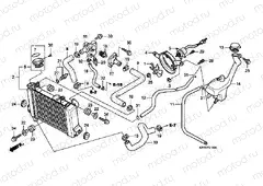 F-31 RADIATOR (CBR125R / RS / RW5 / RW6 / RW8)