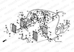 F-31 RADIATOR / COVER