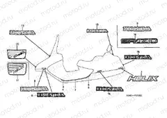 F-31 STRIP / SIGNAL (1)