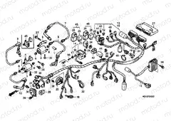F-31 WIRING HARNESS