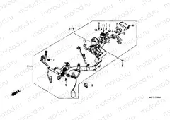 F-31 WIRING HARNESS