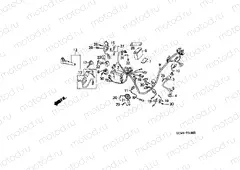 F-31 WIRING HARNESS / BATTERY