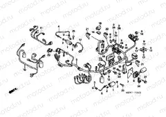 F-31 WIRING HARNESS / IGNITION COIL