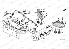 F-32-1 REAR COMBINATION LAMP (GL1800C / D / E / F)