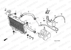 F-32 RADIATOR