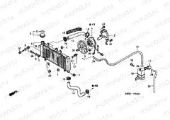 F-32 RADIATOR (CBF600S / SA)