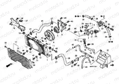 F-33-1 RADIATOR (CB1300A / CB1300SA)