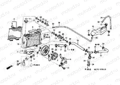 F-33-1 RADIATOR (R.) (VTR1000SP2 / 3/4/5/6)