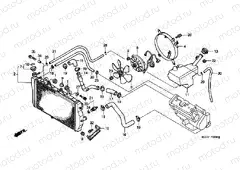 F-33 RADIATOR