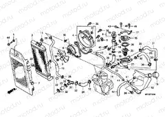 F-33 RADIATOR