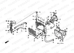 F-33 RADIATOR