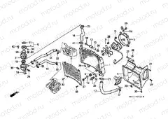 F-33 RADIATOR/ THERMOSTAT