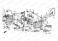 F-33 RADIATOR (VTR1000SPY / 1)