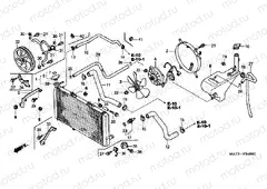 F-34 RADIATOR