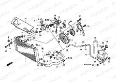 F-34 RADIATOR