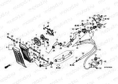 F-36 RADIATOR