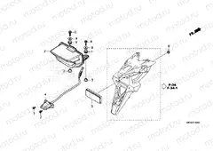 F-36 TAILLIGHT & LICENSE LIGHT