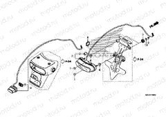 F-36 TAILLIGHT & LICENSE LIGHT