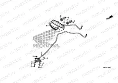 F-36 TAILLIGHT / LICENSE LIGHT