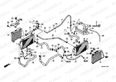 F-37-1 RADIATOR (GL1S00C/D/E )