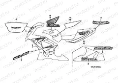 F-37 STRIP / SIGNAL (1)