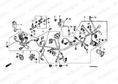 F-38-1 WIRING HARNESS (XRE300A)
