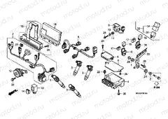 F-38-10 ADDITIONAL WIRING HARNESS