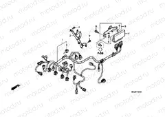 F-38-10 ADDITIONAL WIRING HARNESS