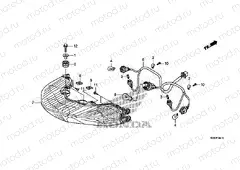 F-38-10 REAR COMBINATION LAMP