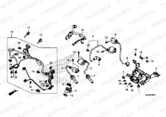 F-38-10 SUB HARNESS & IGNITION COIL